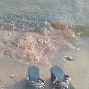 Meet your Posher, Nakia